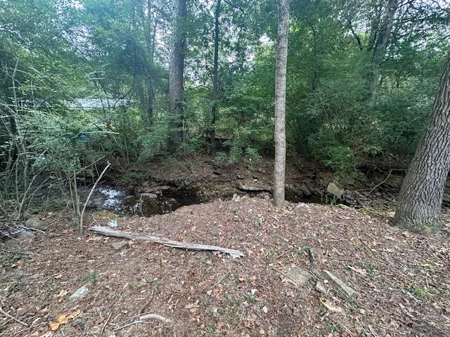 274 Salt Cave Drive